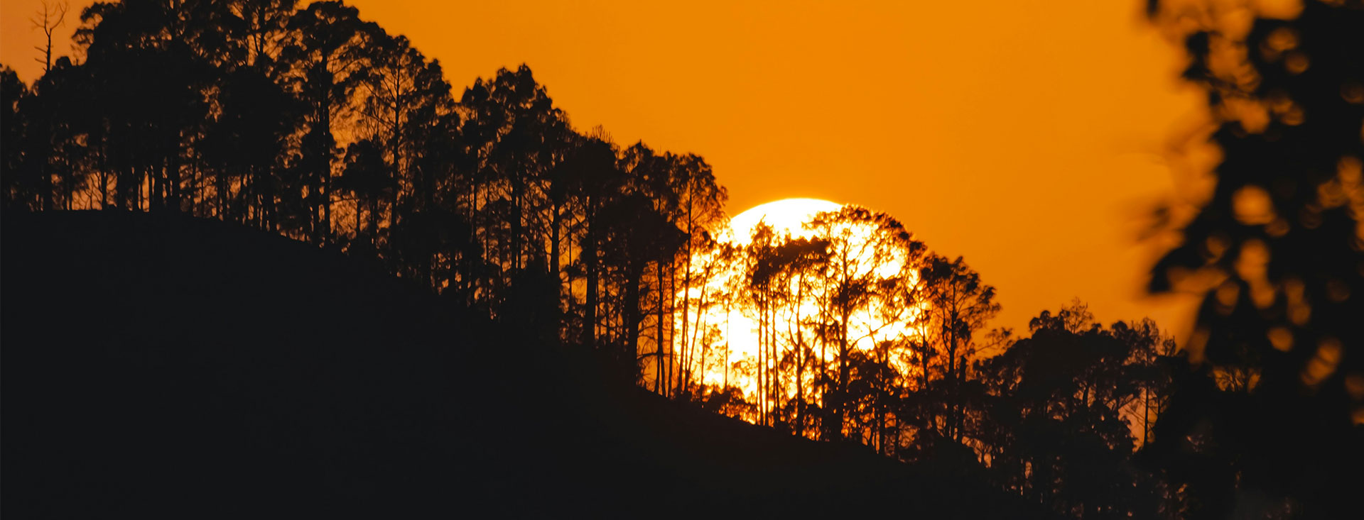 Natural Attractions and Sightseeing