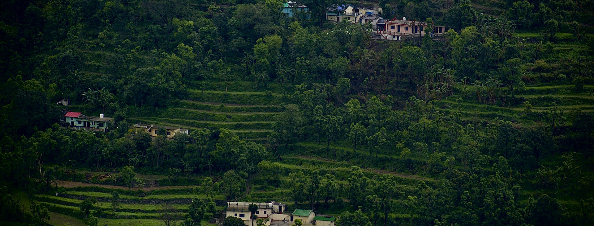 Educational and Cultural Activities